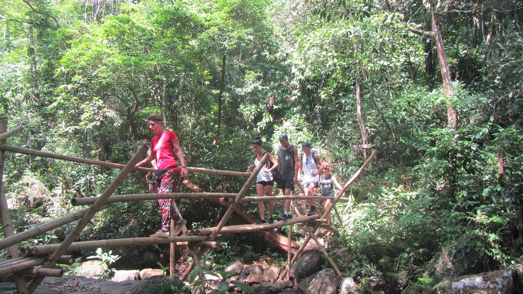 Phong Nha National Park Tour 1 day